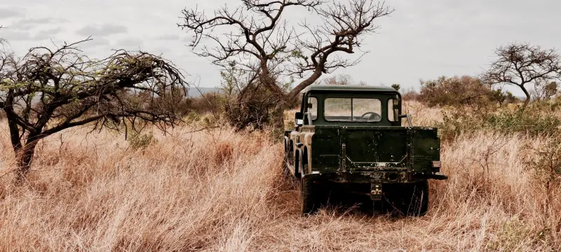 Field scene framed against the African sky
